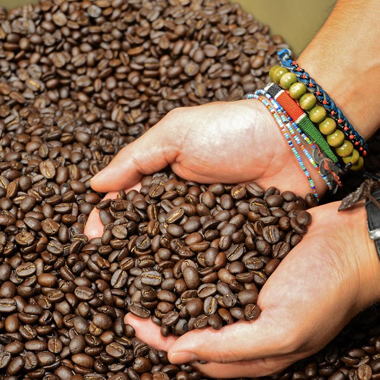 Photo: Trees Organic Coffee
