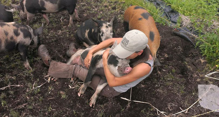 Julia Smith with one of her heritage pigs