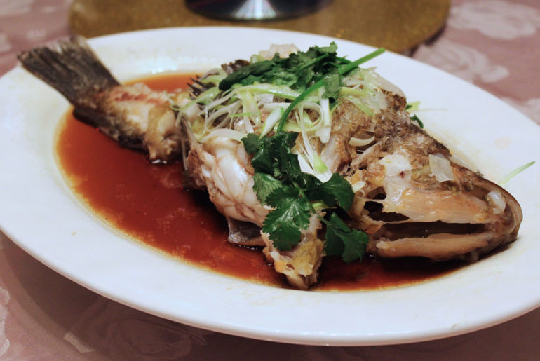 Shiang's rock cod - Tara Lee