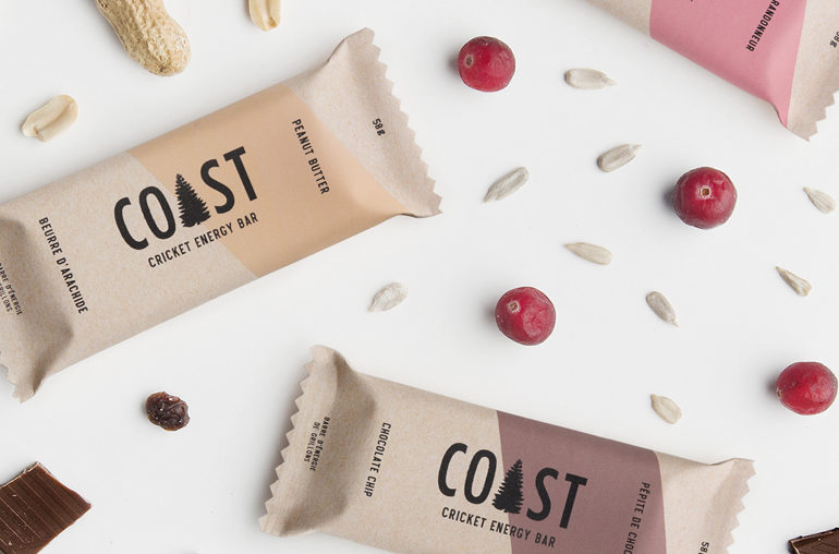 Coast Protein cricket bars
