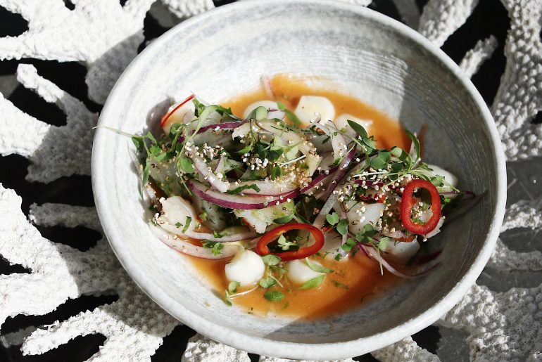 Ancora Vancouver Cerviche