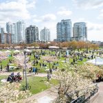 The Cherry Blossom Festival is Back and Brighter Than Ever!